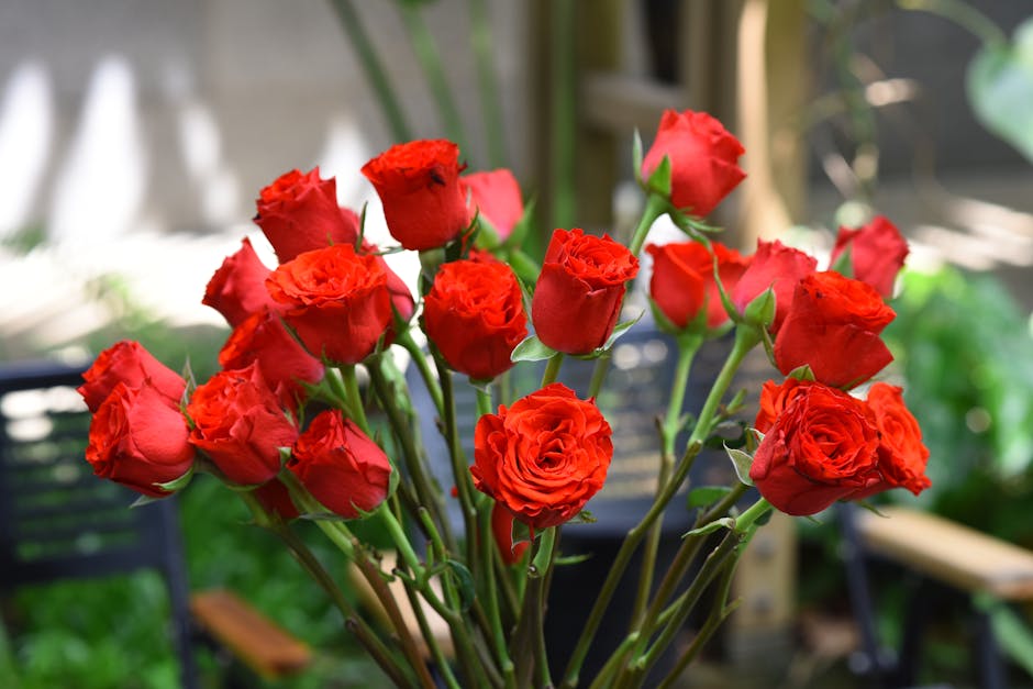 A bouquet of fresh, vibrant red roses with tightly closed buds and fully bloomed petals, arranged in a casual cluster with green stems and leaves visible. The flowers are wrapped in clear cellophane w