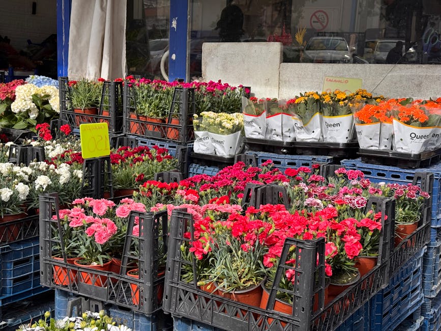 An outdoor display of fresh flowering plants arranged in black plastic crates and white paper pots on a sidewalk. The collection features vibrant pink and red Dianthus flowers with ruffled petals, alo